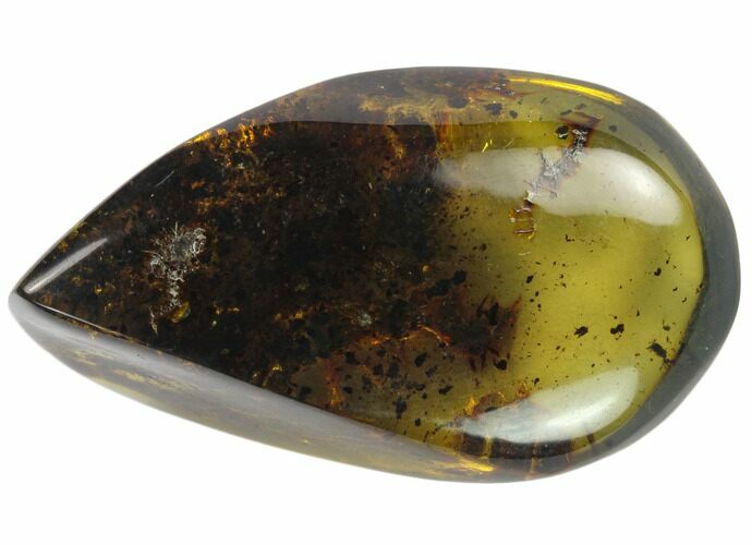 Polished Chiapas Amber ( g) - Mexico #114842